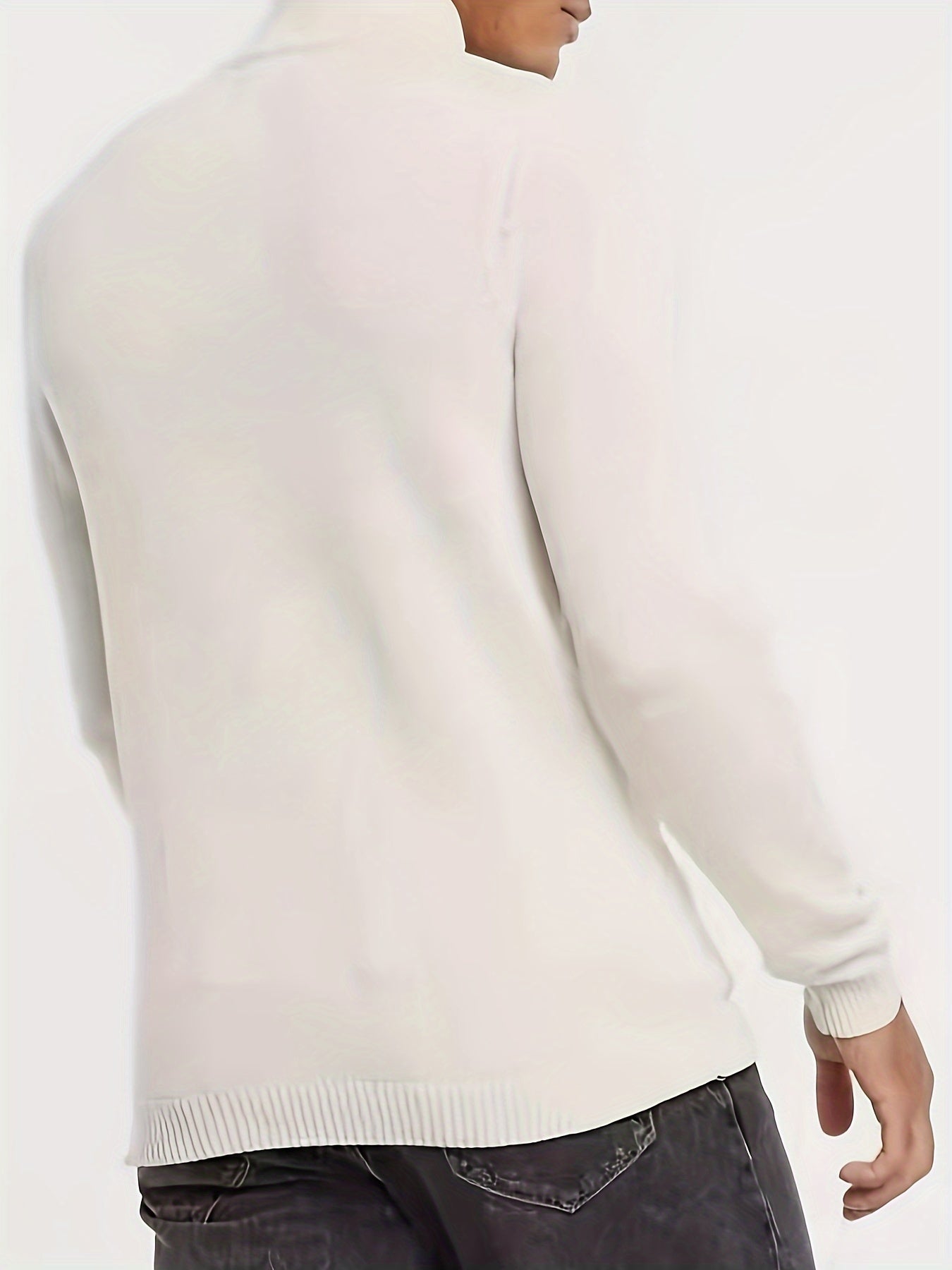 Lined Casual half-zip sweater with high collar for men | Dorian