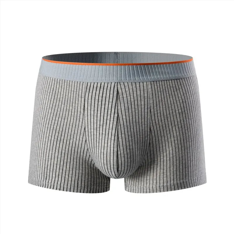 Comfortable striped cotton boxers for men | Tavian -2