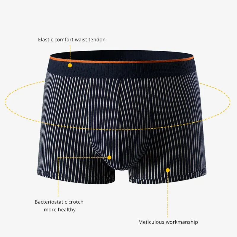 Comfortable striped cotton boxers for men | Tavian -4